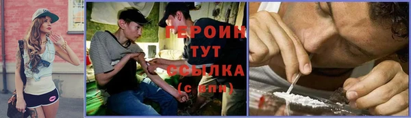 шишки Арсеньев