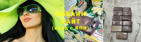 шишки Арсеньев