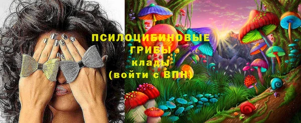 шишки Арсеньев