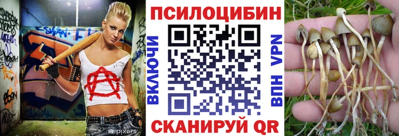 Псилоцибиновые грибы Cubensis сайты даркнета официальный сайт Юрьевец сколько стоит
